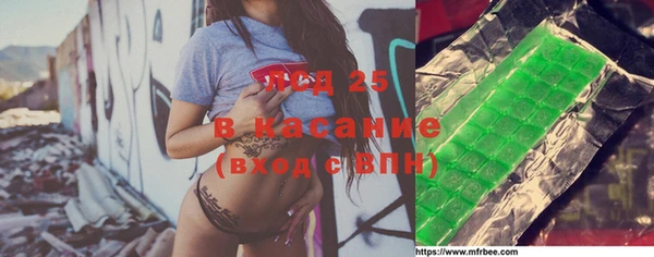 стаф Ростов