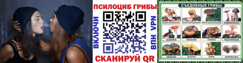 Псилоцибиновые грибы мухоморы  Бакал 